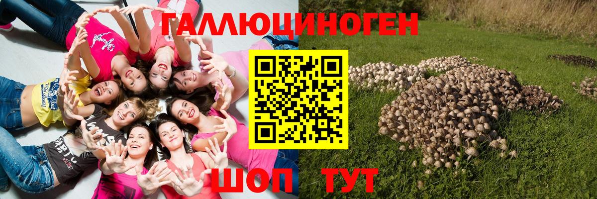 Сызрань  Галлюциногенные грибы ЛСД  Вход с VPN 
